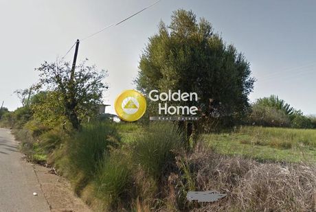 Land plot 3.010sqm for sale-Amaliada » Agios Ioannis
