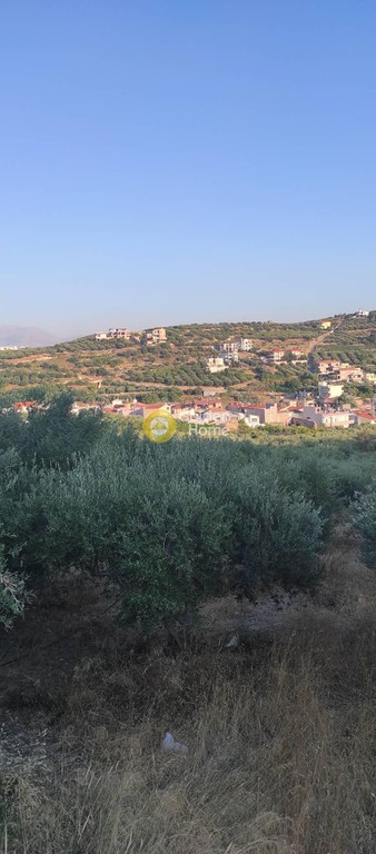 Οικόπεδο 5.201 τ.μ. προς πώληση, Ν. Ηρακλείου, Αρχάνες