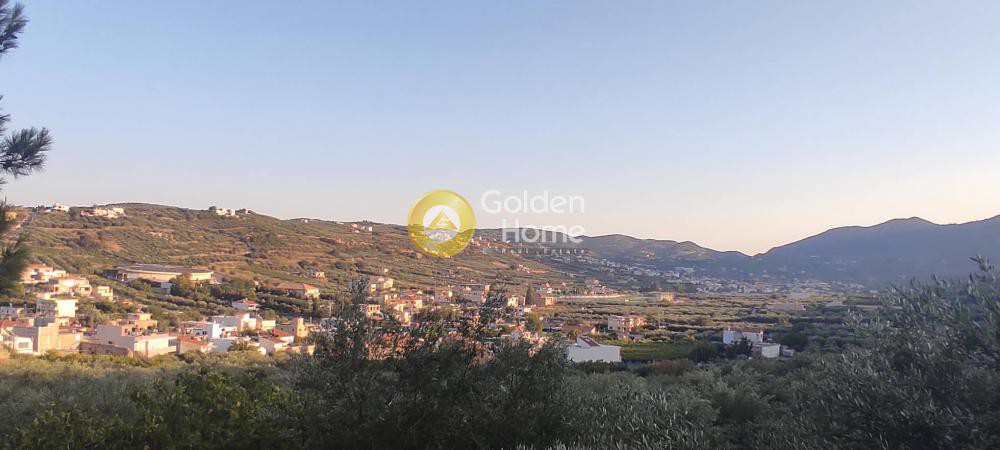 Οικόπεδο 5.201 τ.μ. προς πώληση, Ν. Ηρακλείου, Αρχάνες