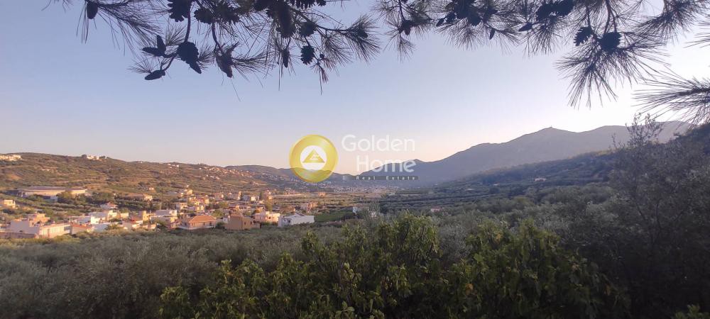 Οικόπεδο 5.201 τ.μ. προς πώληση, Ν. Ηρακλείου, Αρχάνες