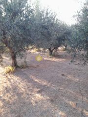 Οικόπεδο 441 τ.μ. για πώληση