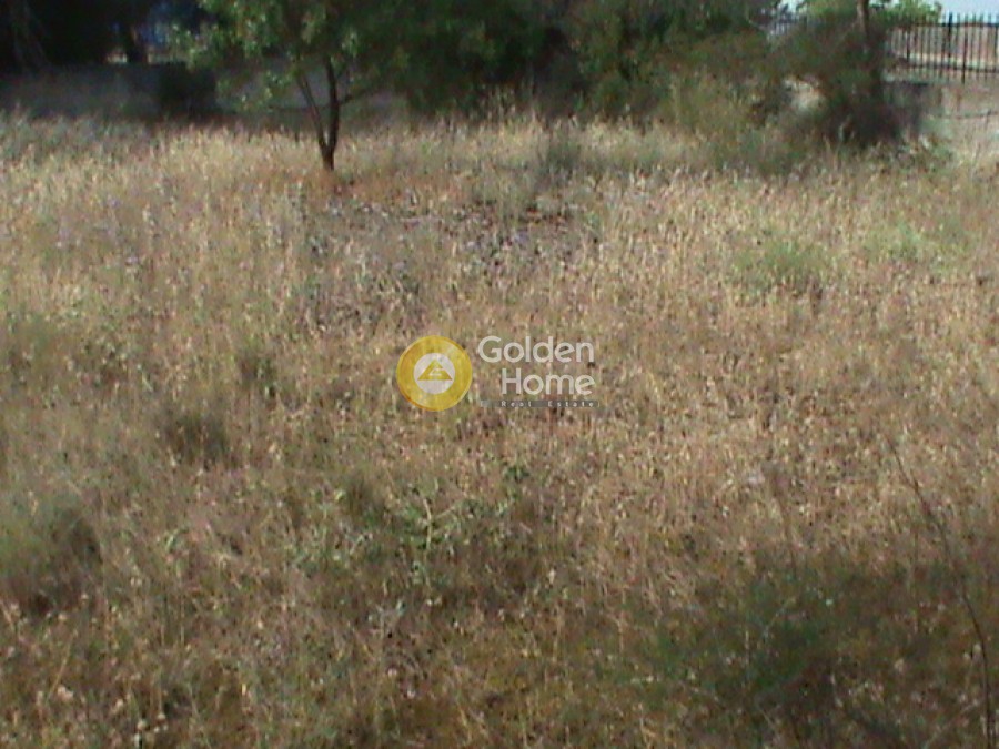 Αγροτεμάχια 625 τ.μ. προς πώληση, Μεγάλα Σχοινία Α