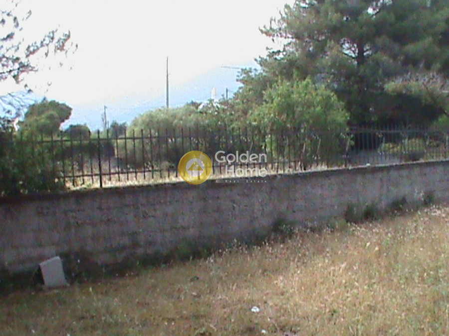 Αγροτεμάχια 625 τ.μ. προς πώληση, Μεγάλα Σχοινία Α