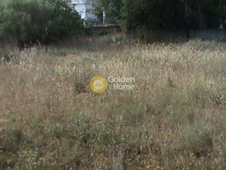 Αγροτεμάχια 625 τ.μ. για πώληση