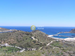Αγροτεμάχια 22.200 τ.μ. για πώληση