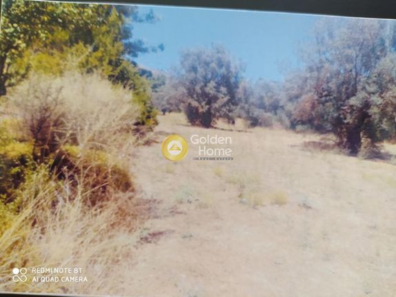 Αγροτεμάχια 15.435 τ.μ. για πώληση, Δωδεκάνησα, Ρόδος