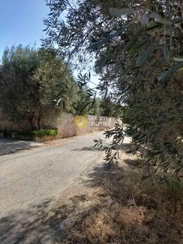 Αγροτεμάχια 1.000τ.μ. για πώληση-Γραμματικό » Κατηφόρι
