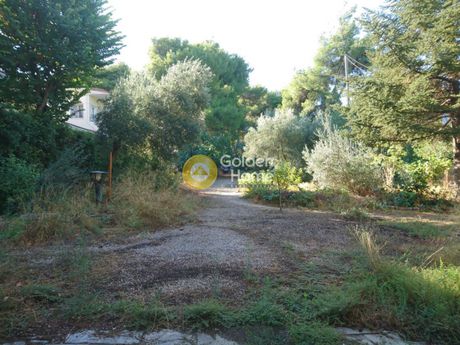 Μονοκατοικία 260 τ.μ. για πώληση