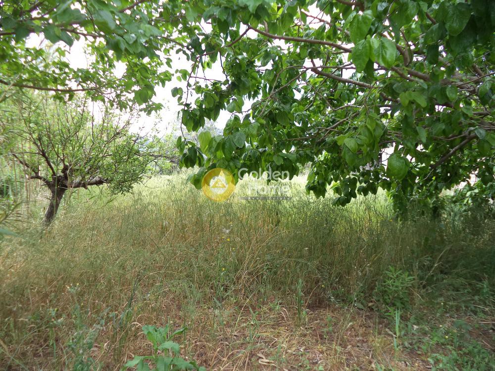 Αγροτεμάχια 1.755 τ.μ. προς πώληση, Διγελιώτικα