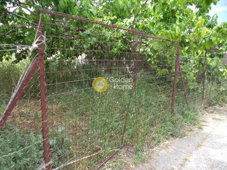 Αγροτεμάχια 1.755τ.μ. για πώληση-Αίγιο » Διγελιώτικα