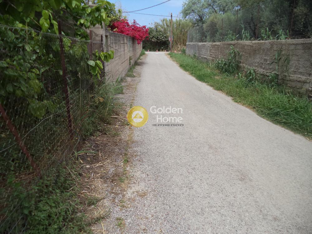 Αγροτεμάχια 1.755 τ.μ. προς πώληση, Διγελιώτικα