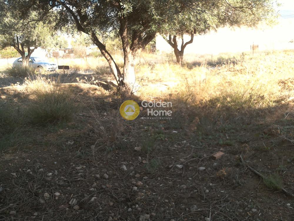 Οικόπεδο 280 τ.μ. προς πώληση, Αθήνα - Δυτικά Προάστια, Αχαρνές
