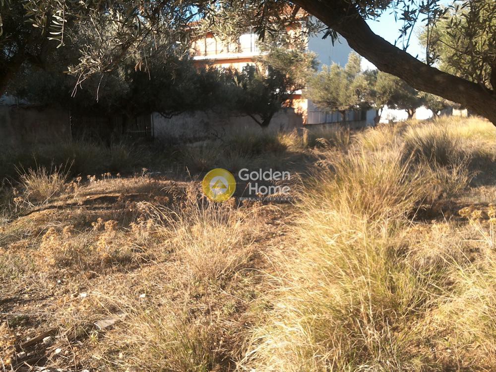 Οικόπεδο 280 τ.μ. προς πώληση, Αθήνα - Δυτικά Προάστια, Αχαρνές