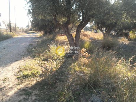 Land plot 280sqm for sale-Acharnes » Megala Sxoinia A