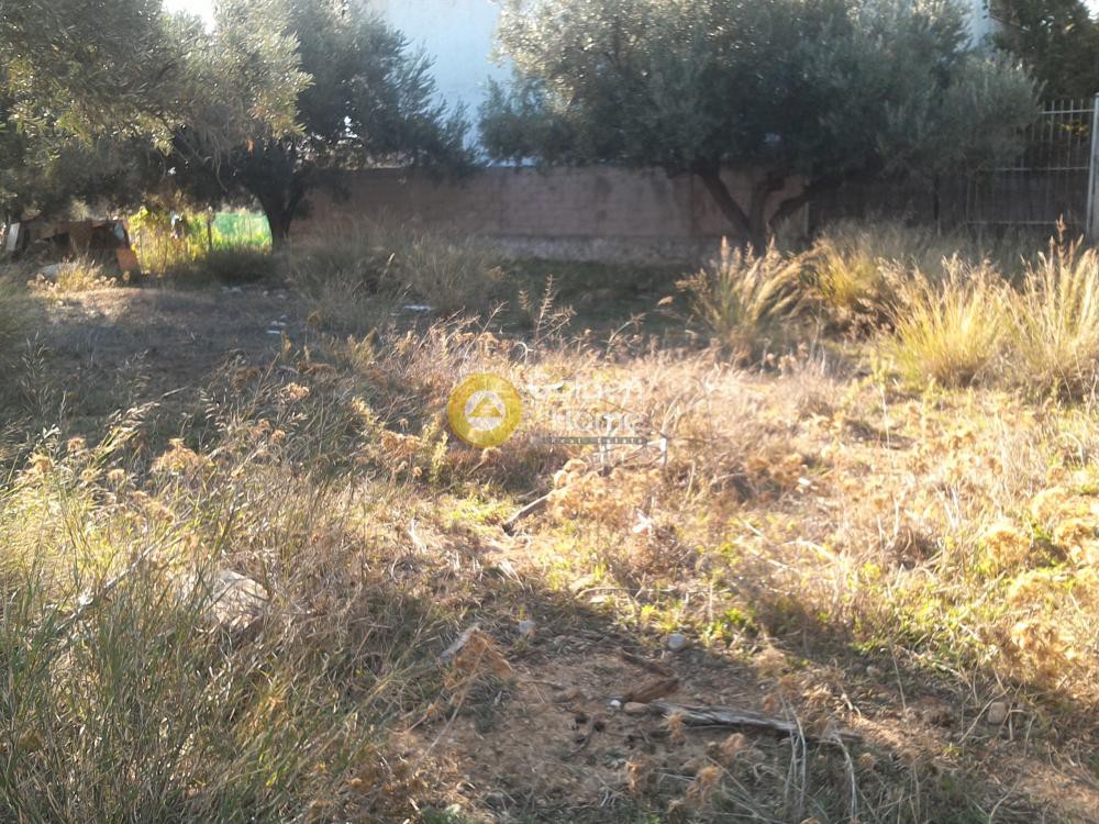 Οικόπεδο 280 τ.μ. προς πώληση, Αθήνα - Δυτικά Προάστια, Αχαρνές