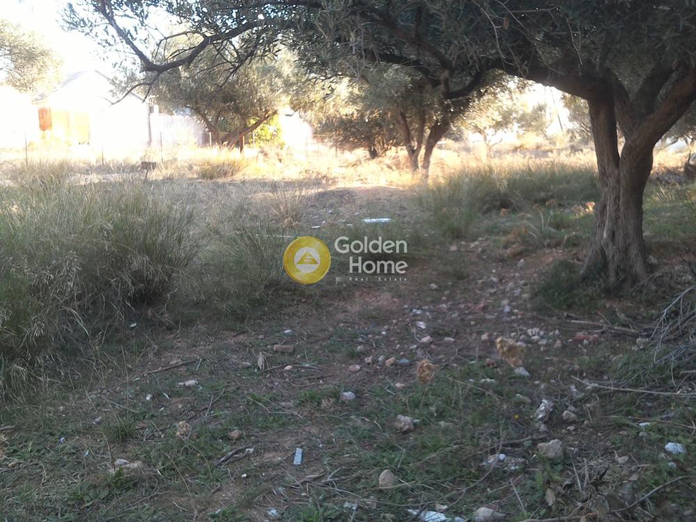 Οικόπεδο 280 τ.μ. προς πώληση, Αθήνα - Δυτικά Προάστια, Αχαρνές