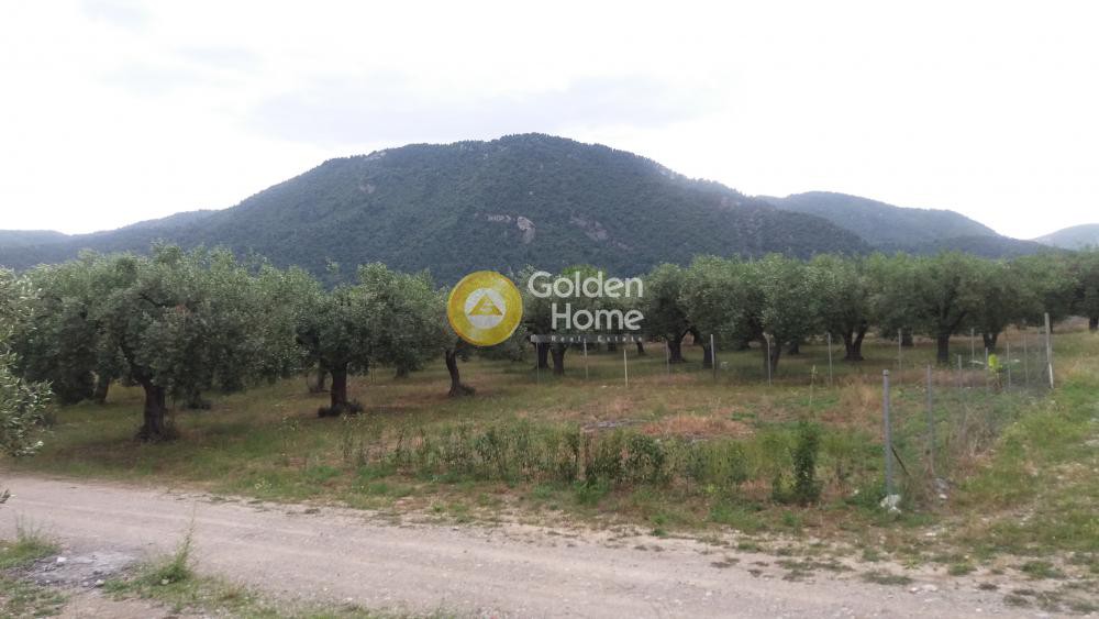 Οικόπεδο 440 τ.μ. προς πώληση, Φθιώτιδας, Άγιος Κωνσταντίνος