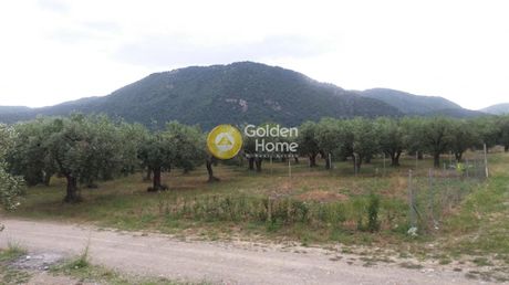 Οικόπεδο 440τ.μ. για πώληση-Άγιος κωνσταντίνος » Λόγγος