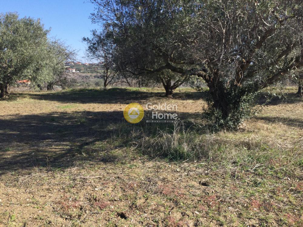 Αγροτεμάχια 4.100 τ.μ. προς πώληση, Μεσημέρι Επανομής