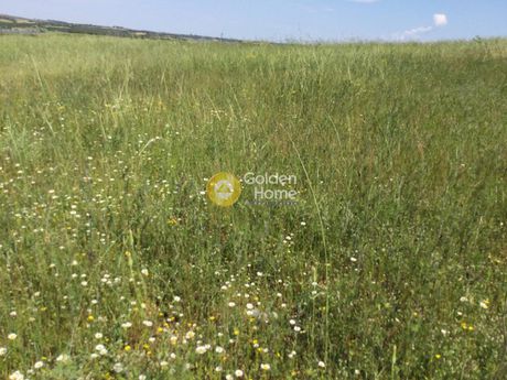 Αγροτεμάχια 5.150τ.μ. για πώληση-Θέρμη » Αγία παρασκευή