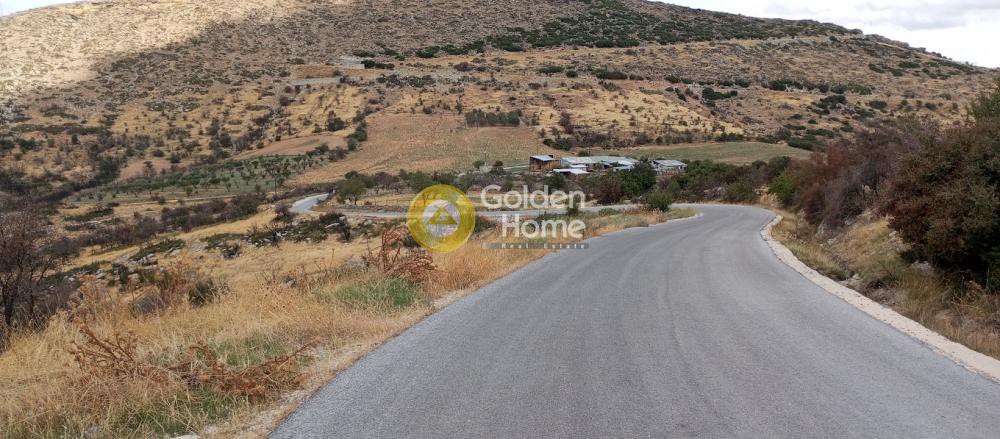 Οικόπεδο 9.872 τ.μ. πρός πώληση, Μαγνησία, Αισωνία