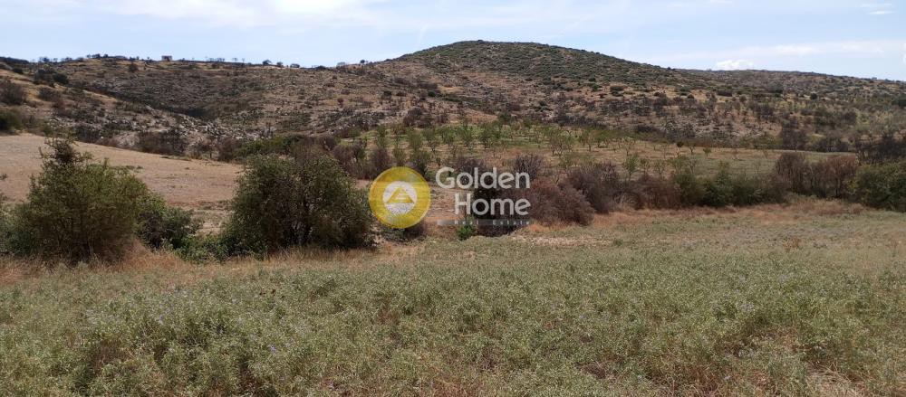 Οικόπεδο 9.872 τ.μ. πρός πώληση, Μαγνησία, Αισωνία