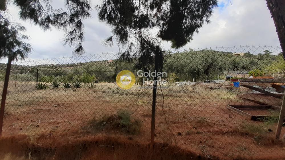 Αγροτεμάχια 2.073 τ.μ. προς πώληση, Άγιος Ισίδωρος Αντίκυρας