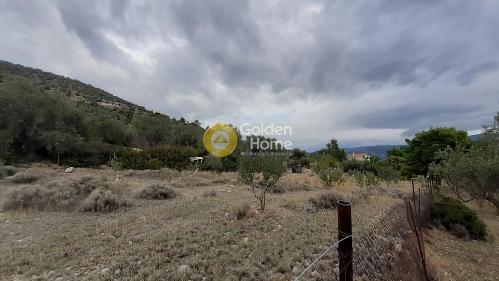 Αγροτεμάχια 2.073 τ.μ. προς πώληση, Άγιος Ισίδωρος Αντίκυρας
