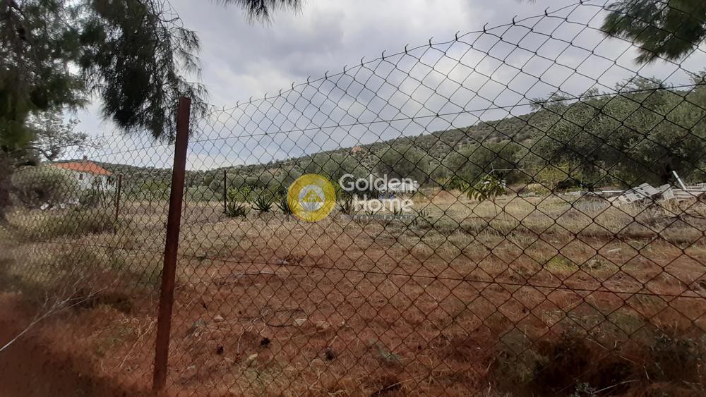 Αγροτεμάχια 2.073 τ.μ. προς πώληση, Άγιος Ισίδωρος Αντίκυρας