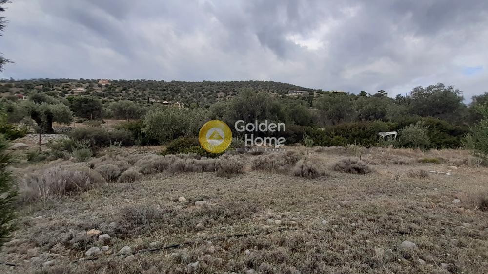 Αγροτεμάχια 2.073 τ.μ. προς πώληση, Άγιος Ισίδωρος Αντίκυρας