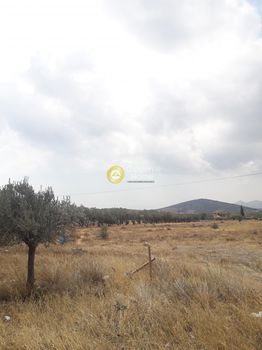 Οικόπεδο 1.396τ.μ. για πώληση-Καλύβια θορικού » Κέντρο