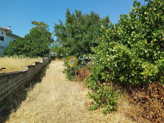 Land plot 3.607 sqm for sale, Rest Of Attica, Kouvaras