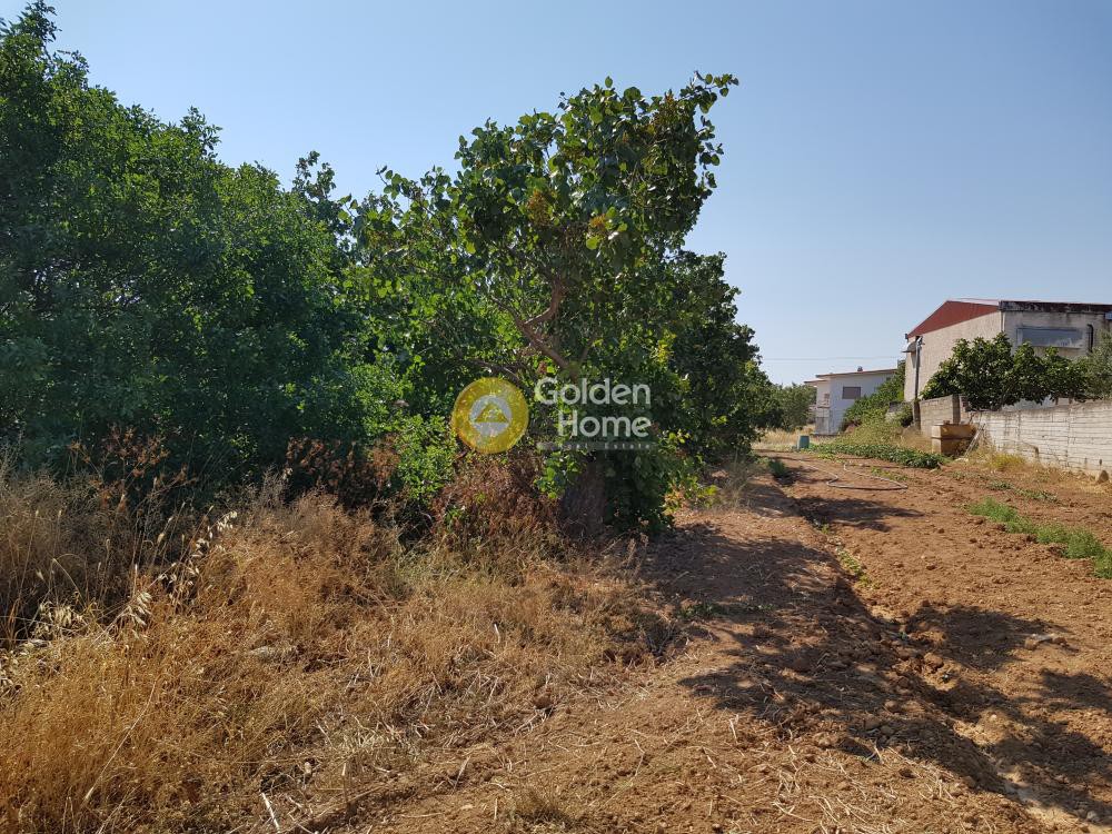 Οικόπεδο 3.607 τ.μ. προς πώληση, Αττική - Υπόλοιπο, Κουβαράς
