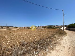 Αγροτεμάχια 12.215 τ.μ. για πώληση