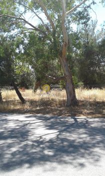 Οικόπεδο 2.500τ.μ. για πώληση-Αχαρνές » Αγία παρασκευή