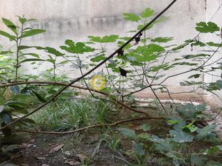 Αποθήκη 54 τ.μ. προς πώληση, Ακαδημία Αθήνας-thumb-1