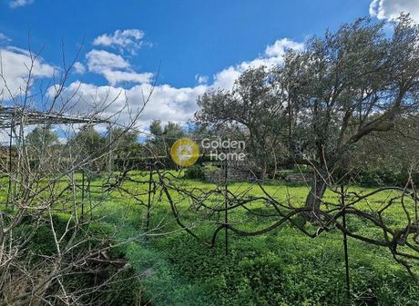 Οικόπεδο 2.039τ.μ. για πώληση-Νάξος » Κάτω σαγκρί