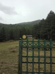 Οικόπεδο 8.500 τ.μ. για πώληση, Φωκίδα, Παρνασσός-thumb-4