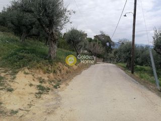 Οικόπεδο 1.692 τ.μ. για πώληση, Αχαΐα, Ερίνεο-thumb-1