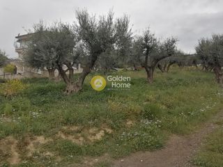 Οικόπεδο 1.692 τ.μ. για πώληση, Αχαΐα, Ερίνεο-thumb-4