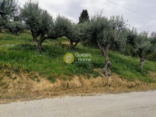 Οικόπεδο 1.692 τ.μ. για πώληση, Αχαΐα, Ερίνεο-thumb-7