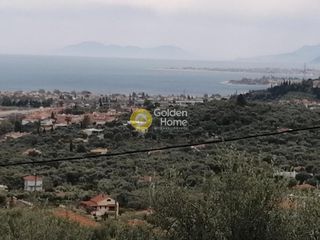 Οικόπεδο 1.692 τ.μ. για πώληση, Αχαΐα, Ερίνεο-thumb-8