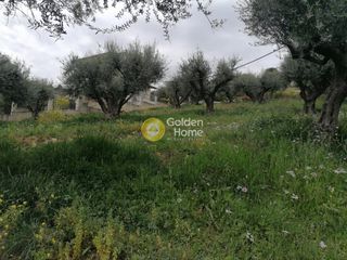 Οικόπεδο 1.692 τ.μ. για πώληση, Αχαΐα, Ερίνεο-thumb-3