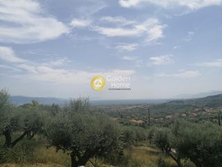 Οικόπεδο 1.692 τ.μ. για πώληση, Αχαΐα, Ερίνεο-thumb-5