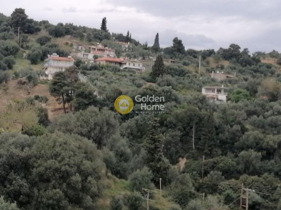 Οικόπεδο 1.692 τ.μ. για πώληση, Αχαΐα, Ερίνεο
