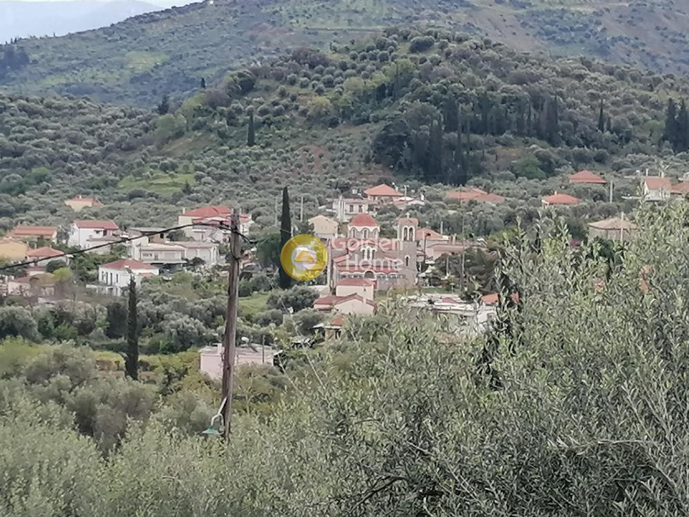 Οικόπεδο 1.692 τ.μ. προς πώληση, Αχαΐα, Ερίνεο