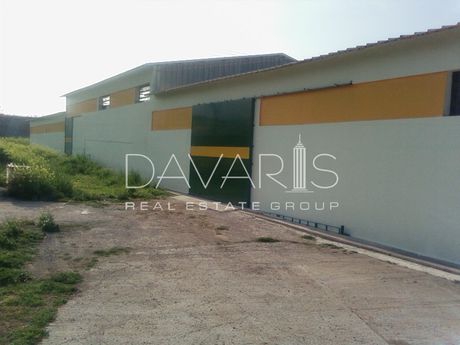 Αγροτεμάχια 6.000τ.μ. για πώληση-Ακραίφνια » Κέντρο