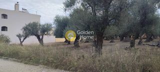 Οικόπεδο 1.316 τ.μ. για πώληση