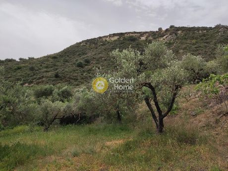 Αγροτεμάχια 10.200τ.μ. για πώληση-Κοφίνας » Σοκαράς