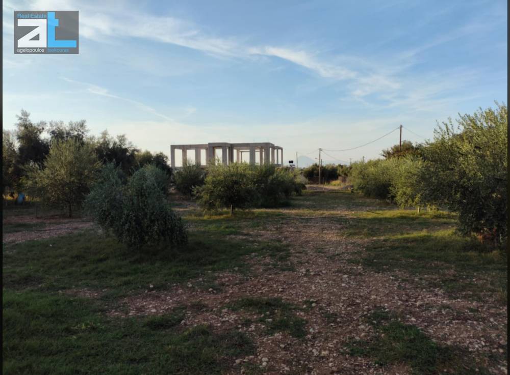 Γη 3.000 τ.μ. πρός ενοικίαση, Αχαΐα, Μεσσατίδα